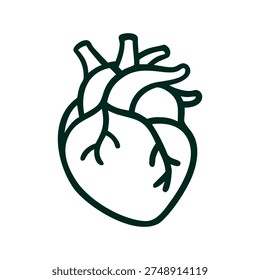 A vector abstract human heart line art with aorta, arteries, and veins, symbolizing anatomy, health, and education in a minimalist design.