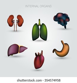 Vector abstract human internal organs set of visual 3D symbols illustration.
Lungs, brains, kidneys, liver, heart and stomach medical icons set.