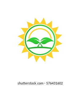 Vector abstract icon. Sun and plant logo.