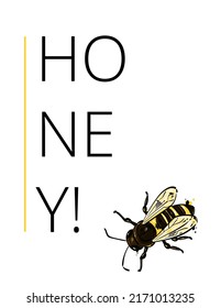 Abstrakte Vektorgrafik. Bannerdesign zum Thema Honig. Naturprodukt