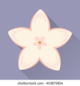Vector abstract illustration of decorative flat Japan cherry blossom - flowering sakura with long shadow. Isolated on lavender background. Oriental poster. Asia concept. Eps 8.