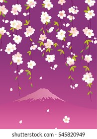 Vector abstract illustration of decorative Japan cherry blossom tree  and famous mountain Fuji. Sakura, Fujiyama, night sky background. 
