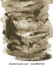 Vector Abstract illustration distressed floor, white and gray background, stucco grunge, cement or concrete wall textured.