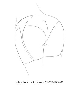 Vector abstract illustration of female butt in sexy underwear
