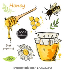 Vector abstract illustration with a jar of honey, honeycombs, a bee, a camomile. Honey set. Useful product