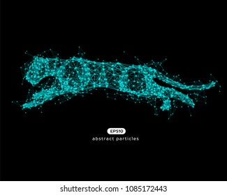 Vector abstract illustration of jumping puma. Eps 10. You can easily change color.