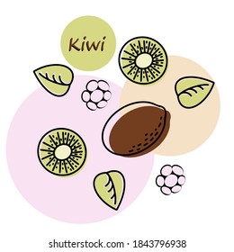 Vector abstract illustration with kiwi. An isolated set for your design of postcard, menu, banner, poster, advertisement and other.