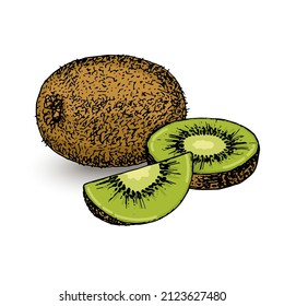 Ilustración abstracta vectorial con kiwi. Un conjunto aislado para el diseño