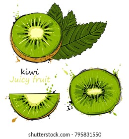 Vector abstract illustration with kiwi. An isolated set for your design of postcard, menu, banner, poster, advertisement and other.
