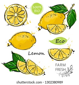 Vector abstract illustration of a lemon. An isolated set for your design of postcard, menu, banner, poster, advertisement and other.