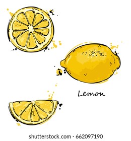 Vector abstract illustration of a lemon. An isolated set for your design of postcard, menu, banner, poster, advertisement and other.