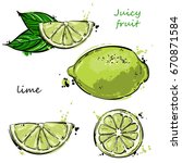 Vector abstract illustration of a lime. An isolated set for your design of postcard, menu, banner, poster, advertisement and other.