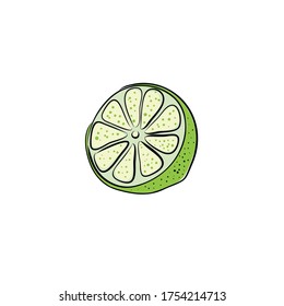 Vector abstract illustration of a lime. An isolated fruitand slice for your design of postcard, menu, banner, poster, advertisement and other. sketch and hand drawn.
