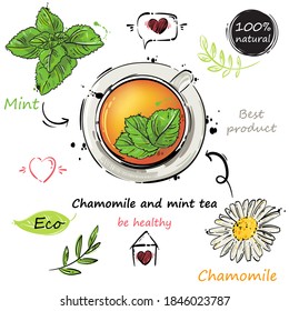 Vector abstract illustration with mug, chamomile, mint. Chamomile and mint tea recipe. Be healthy! Hand drawing