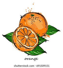 Vector abstract illustration with an orange. An isolated set for your design of postcard, menu, banner, poster, advertisement and other.
