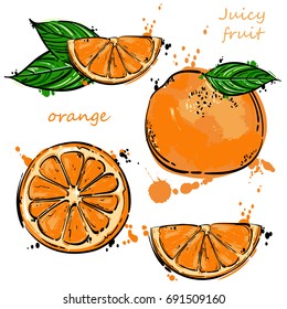 Vector abstract illustration with an orange. An isolated set for your design of postcard, menu, banner, poster, advertisement and other.
