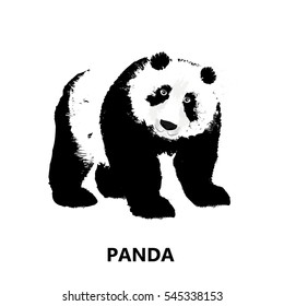 Vector abstract  Illustration of Panda.