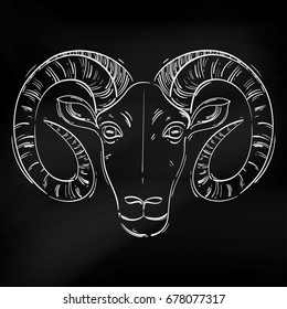 Vector abstract illustration of a ram. Aries. Horoscope. Animals. Blackboard.