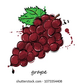 Vector abstract illustration of a red grapes. Background for design of cards. menu, poster, banner and other.