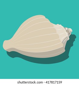 Vector, abstract illustration of sea shells in a flat style. For graphic and web design.