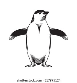 Vector abstract illustration for your design. Penguin
