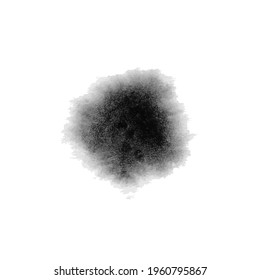 Vector abstract ink splatter, black paint spot isolated on white background, soft blur.