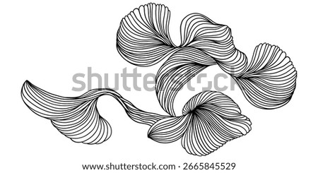 Vector abstract line wavy black smooth dynamic connections isolated on white background in luxury, wave, ocean, mountain, flower concept.
