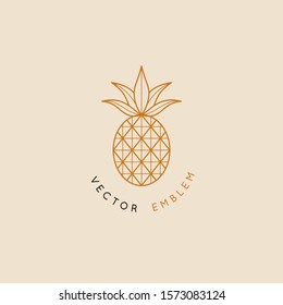 Vector abstract logo and branding design template in trendy linear minimal style - pineapple