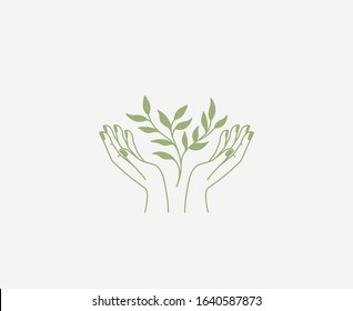 Leaf Minimalist Logo Images, Stock Photos & Vectors | Shutterstock