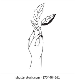 Vector abstract logo design template in trendy linear minimal style. Hand hold flower leaves. Cosmetics, jewellery, beauty products studio or salon concept for print, emblem design.