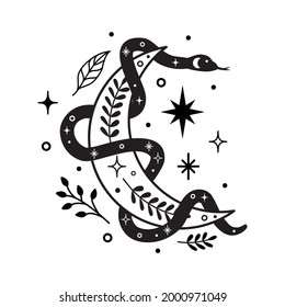 Vector abstract magic illustration with celestial snake, moon, stars and flowers isolated on white background. Boho trendy esoteric serpent symbol for poster print, fashion, fabric, textile, paper