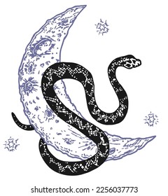 Vector abstract magic illustration with celestial snake, moon and stars. Mystical witchy symbol. Boho trendy esoteric serpent symbol for poster print, fashion, fabric, textile, paper, tattoo. Isolated