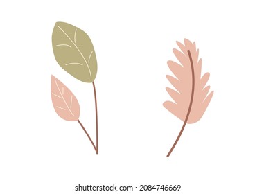 Ropa minimalista abstracta vectorial con hojas dibujadas a mano. Plantar en tonos pastel y naturales aislados en un fondo blanco. Tarjetas de elementos, invitaciones a bodas, presentación