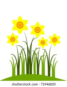 vector abstract narcissus on white background