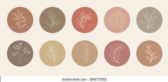 Vector abstract organic story highlight cover templates isolated on white background. Botanical illustration in neutral earth tone colors. Hipster design elements set