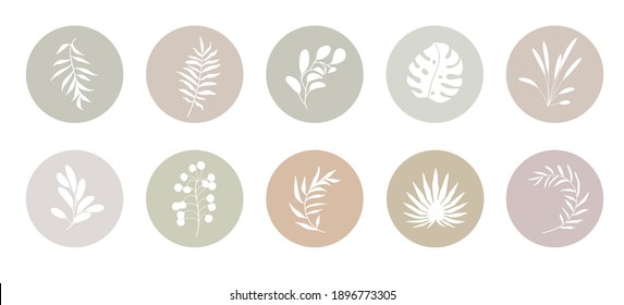 La historia orgánica abstracta del vector destaca las plantillas de cubierta aisladas en fondo blanco. Ilustración botánica en colores tierra pálidos y neutros. Delicado conjunto de elementos de diseño hipster
