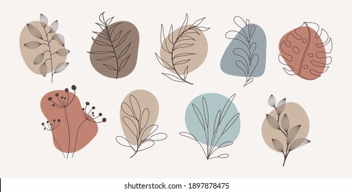 Vector abstract organic story highlight cover templates isolated on white background. Botanical illustration in neutral earth tone colors. Hipster design elements set