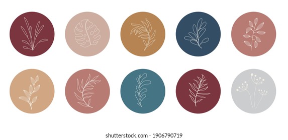 La historia orgánica abstracta del vector destaca las plantillas de cubierta aisladas en fondo blanco. Ilustración botánica en colores neutros de tono de tierra. Conjunto de elementos de diseño de Hipster