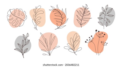 Vector abstract organic story highlight cover templates isolated on white background. Botanical illustration in neutral earth tone colors. Hipster design elements set