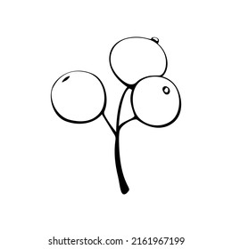 Vektor abstrakter Umriss Zweig mit Beeren im Doodle-Stil. Botanische Clipkunst, Element für das Design von Postkarten, Einladungen, das Erstellen von Logos oder Bannern