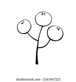 Vector abstract outline twig with berries in doodle style. Botanical clipart, element for the design of postcards, invitations, creating logos or banners