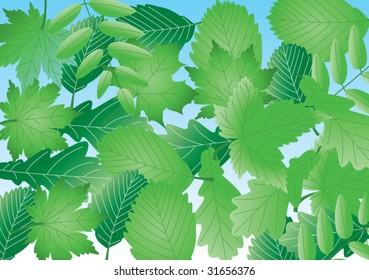 vector abstract pattern of green leaves