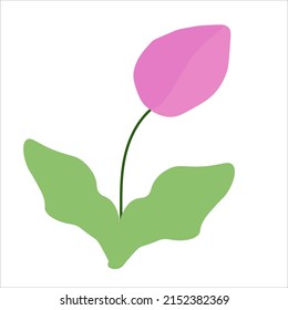Vector abstract pink tulip illustration