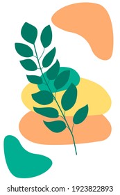 Planta abstracta vectorial con fondo de formas. Plantilla de estilo para tarjetas, anuncios, diseño web, etc