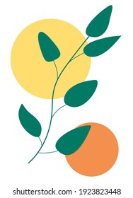 Abstrakte Vektorpflanze mit Formen Hintergrund. Stilvorlage für Karten, Anzeigen, Webdesign usw.