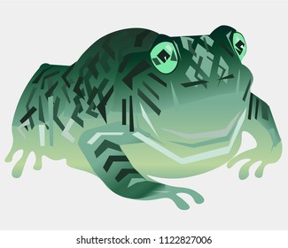 Vector. Abstract polygon frog. The geometric colorful symbol 