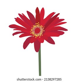 Vector abstract red gerbera Flower, hand drawn botanical elements illustration,background with space for text.