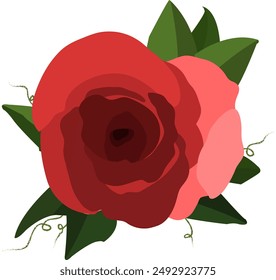 Vector abstract red rose flower isolated on white, vector illustration. Beautiful blossom gift birthday, holidays, anniversary celebration, elegant detailed rose blooming bud with leaves close up