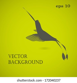 Vector Abstract seamless Colibri Illustration pattern on the green background 