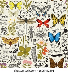 Vector abstract seamless pattern with insects and medicinal herbs in retro style. Colorful butterflies, beetles, various herbs, sketches and inscriptions. Wallpaper, wrapping paper, fabric, background